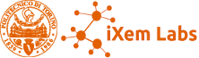 iXem Labs