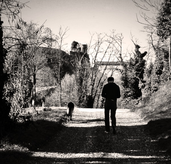 Overview of Fortezza di Verrua Savoia